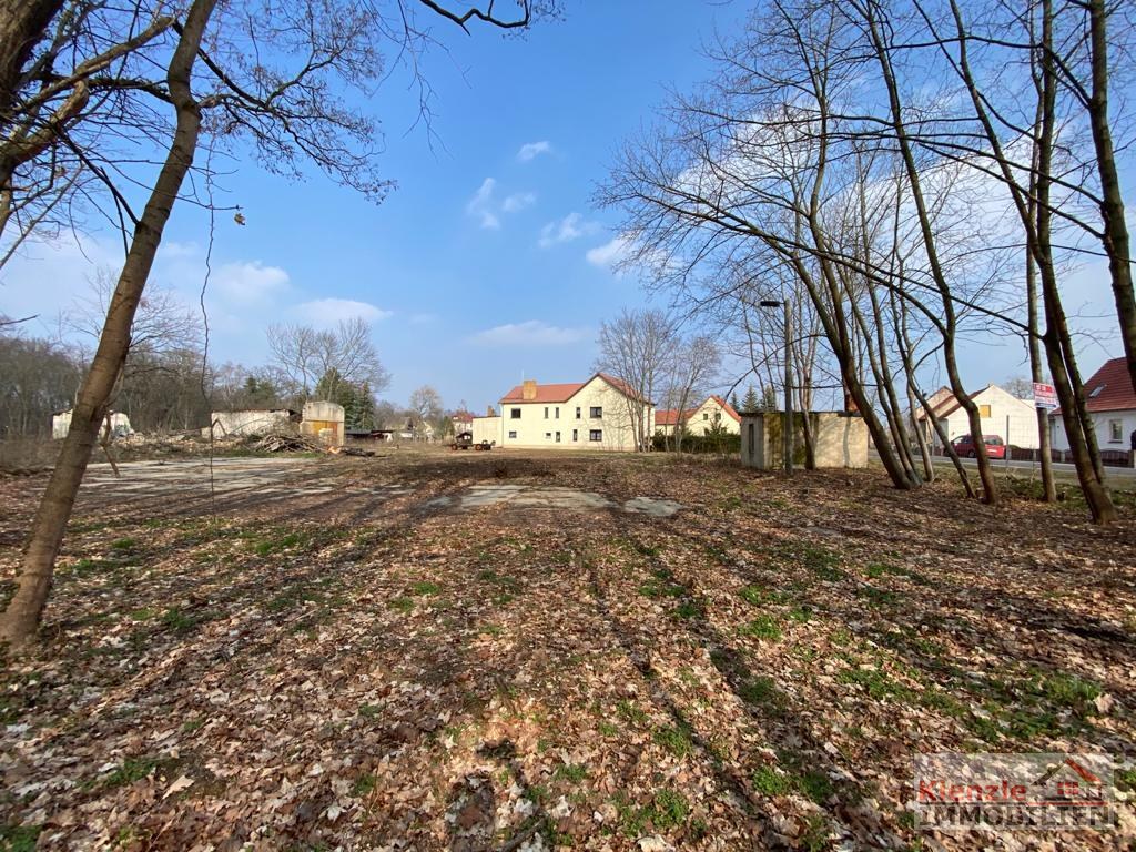 UNMITTELBAR AM STADTPARK VON ELSTERWERDA - Baufläche für Wohnbebauung
