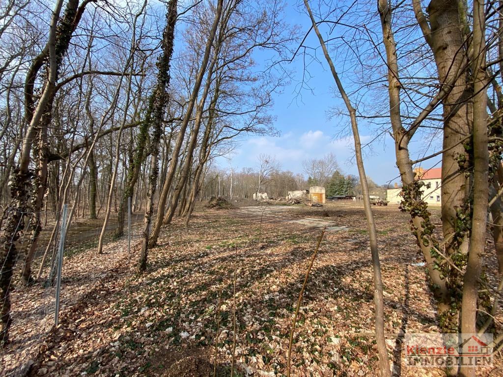 UNMITTELBAR AM STADTPARK VON ELSTERWERDA - Baufläche für Wohnbebauung