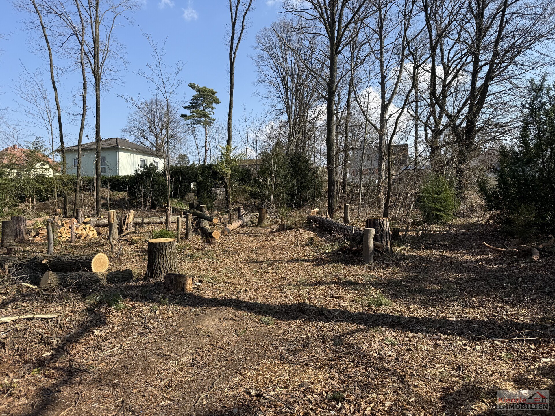 Schönes Baugrundstück in Moritzburg im OT Friedewald