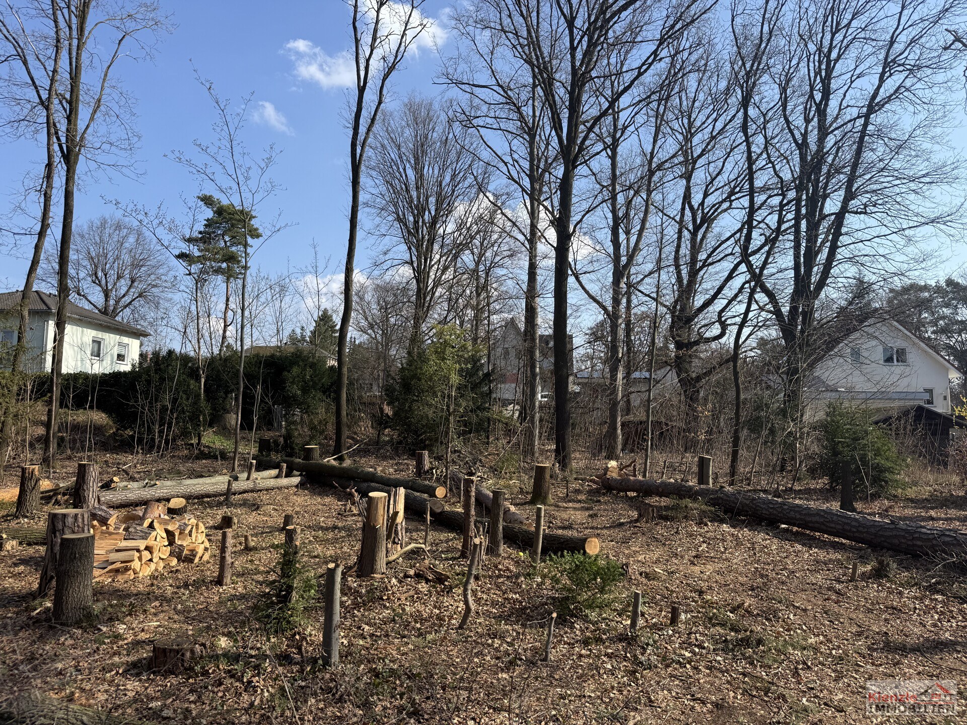 Schönes Baugrundstück in Moritzburg im OT Friedewald