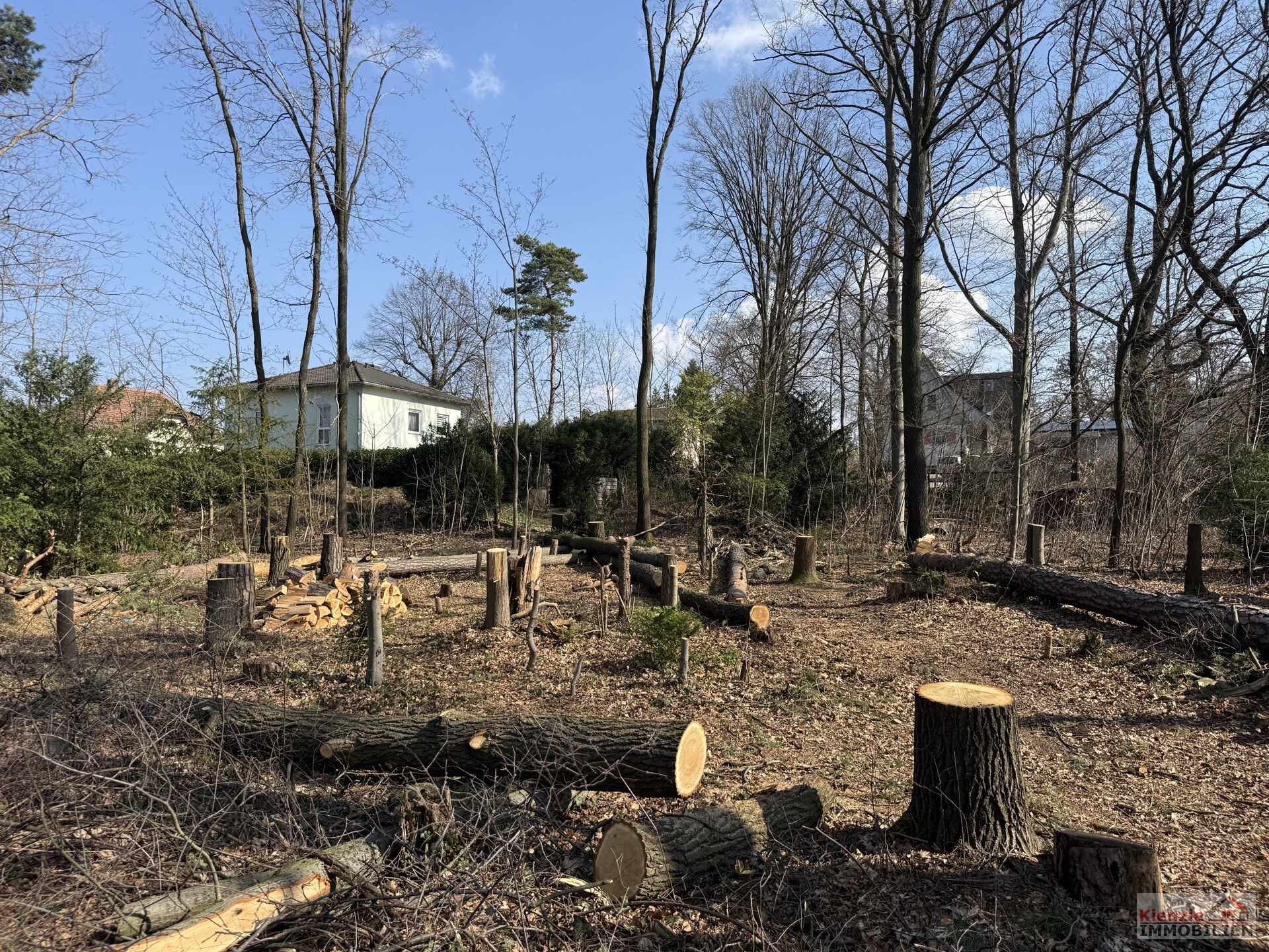 Schönes Baugrundstück in Moritzburg im OT Friedewald