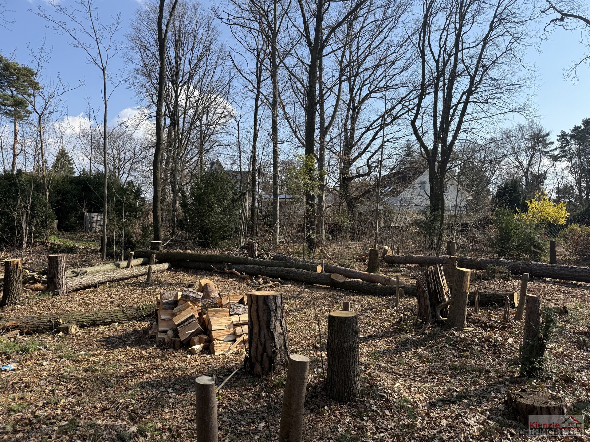 Schönes Baugrundstück in Moritzburg im OT Friedewald