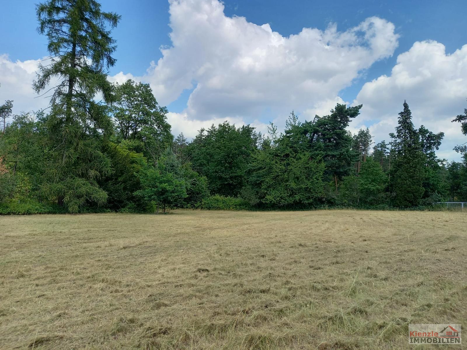 Zwei tolle Grundstücke in ruhiger Lage von Elsterwerda-Kraupa
