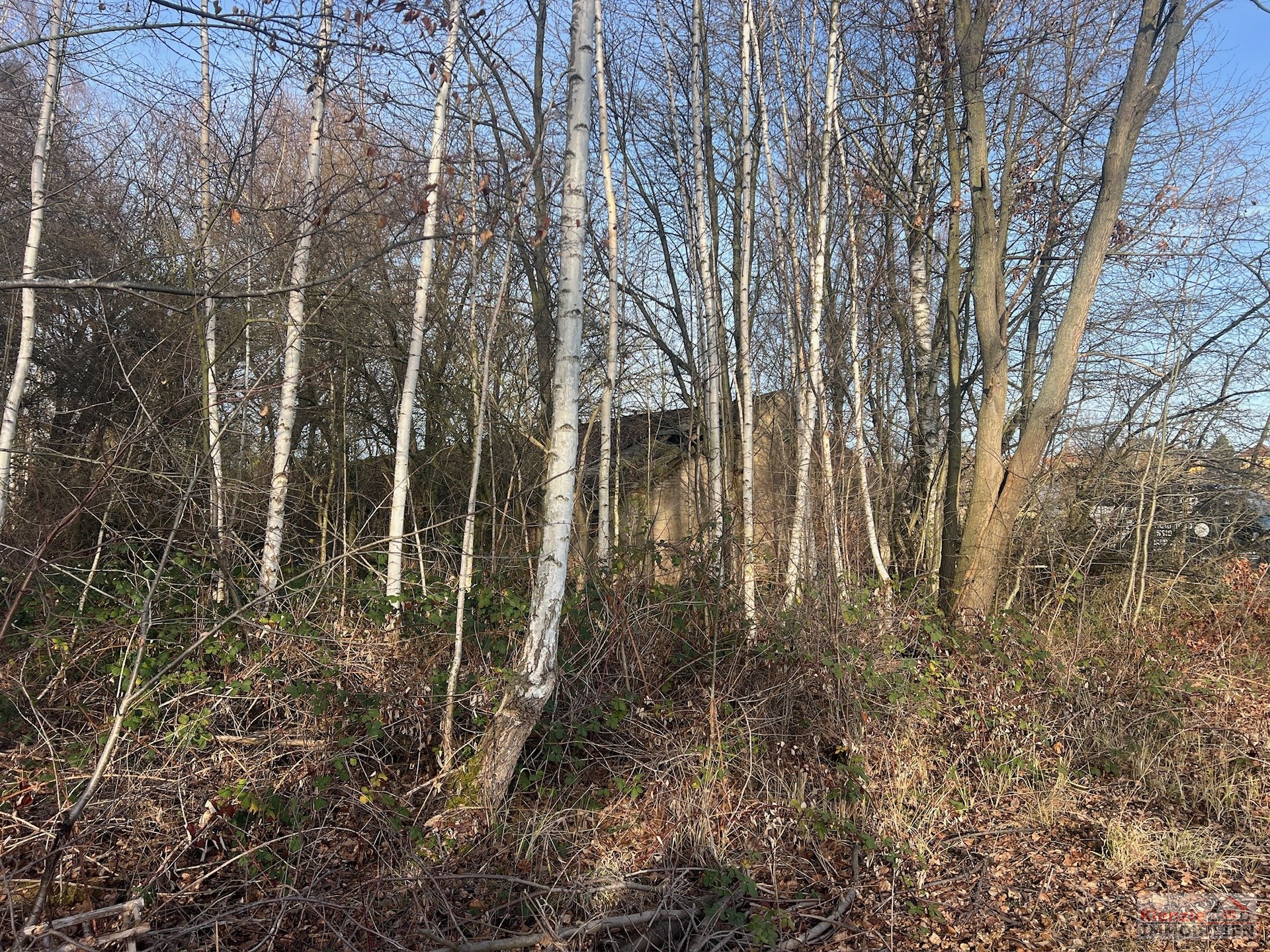 Baugrundstück für Gewerbe in Lommatzsch