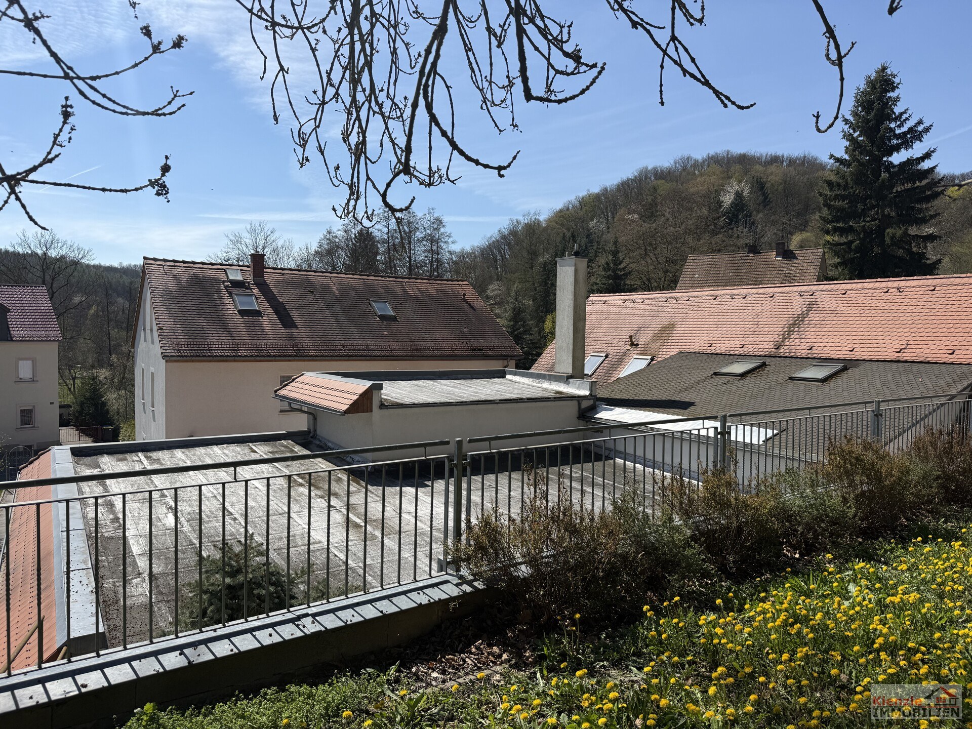 Exklusives Wohn- und Gewerbeanwesen mit Unternehmerresidenz, Produktionshallen, Wellnessbereich
