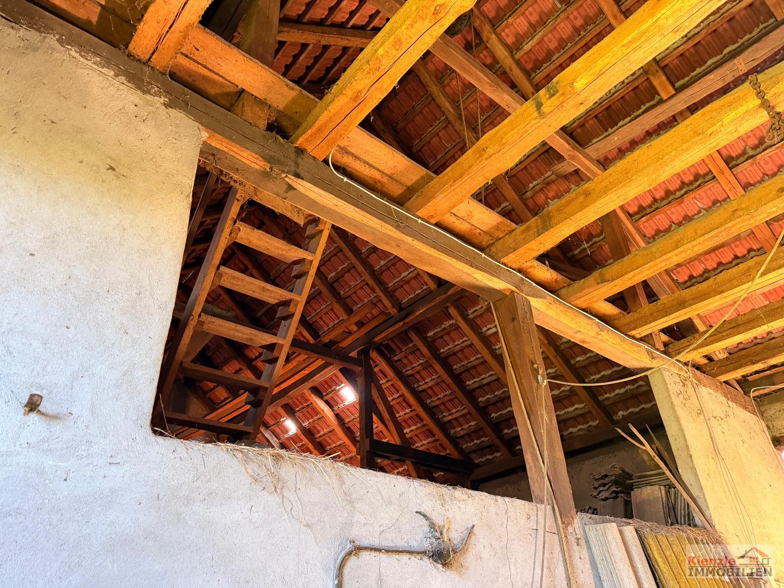 Hofanlage mit Haupthaus, Scheune und Nebengebäude in Oppelhain