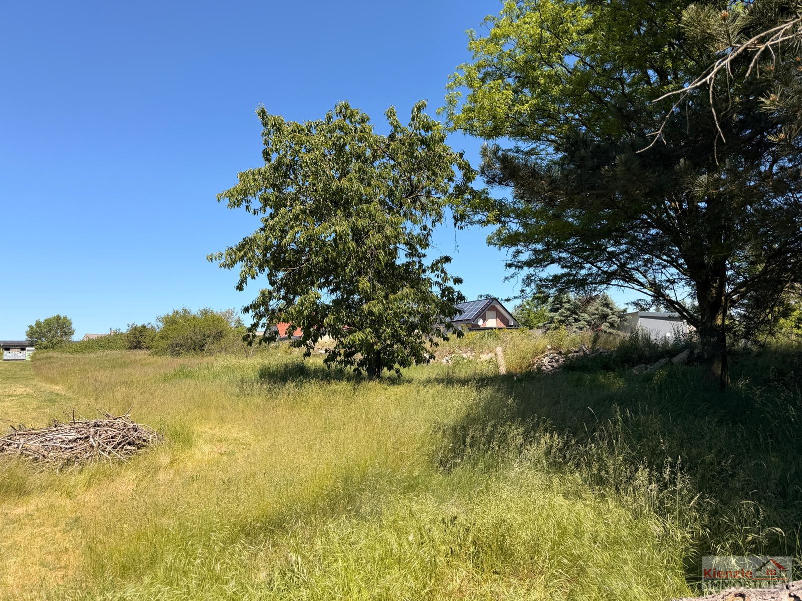 Hofanlage mit Haupthaus, Scheune und Nebengebäude in Oppelhain