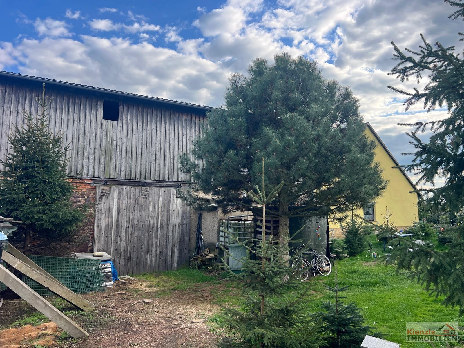 Charmantes Einfamilienhaus mit großzügiger Scheune in idyllischer Dorflage im OT Polditz bei Leisnig