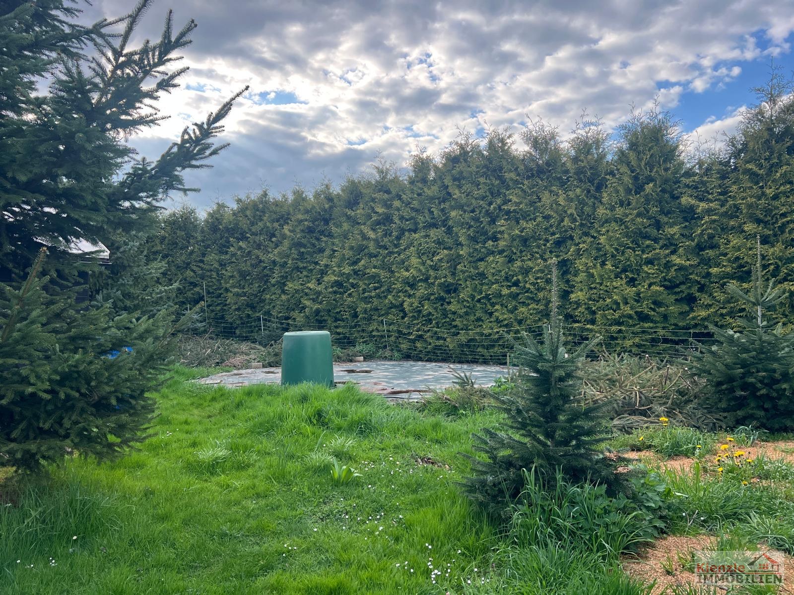 Charmantes Einfamilienhaus mit großzügiger Scheune in idyllischer Dorflage im OT Polditz bei Leisnig