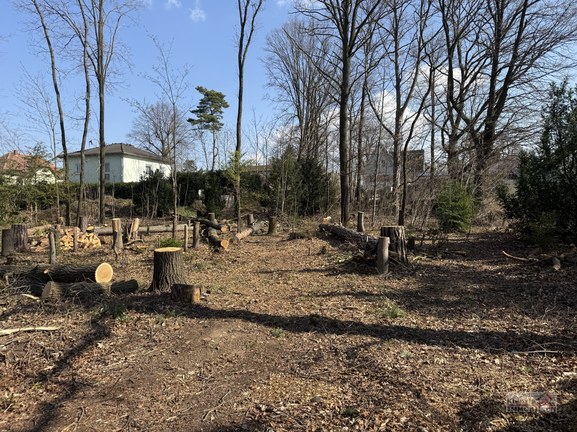 Attraktives Baugrundstück in Moritzburg im OT Friedewald