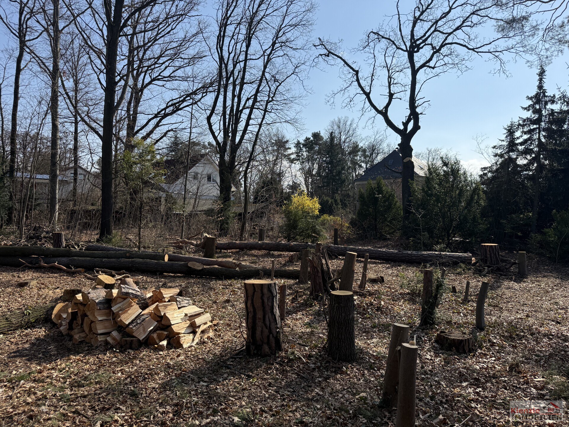 Attraktives Baugrundstück in Moritzburg im OT Friedewald