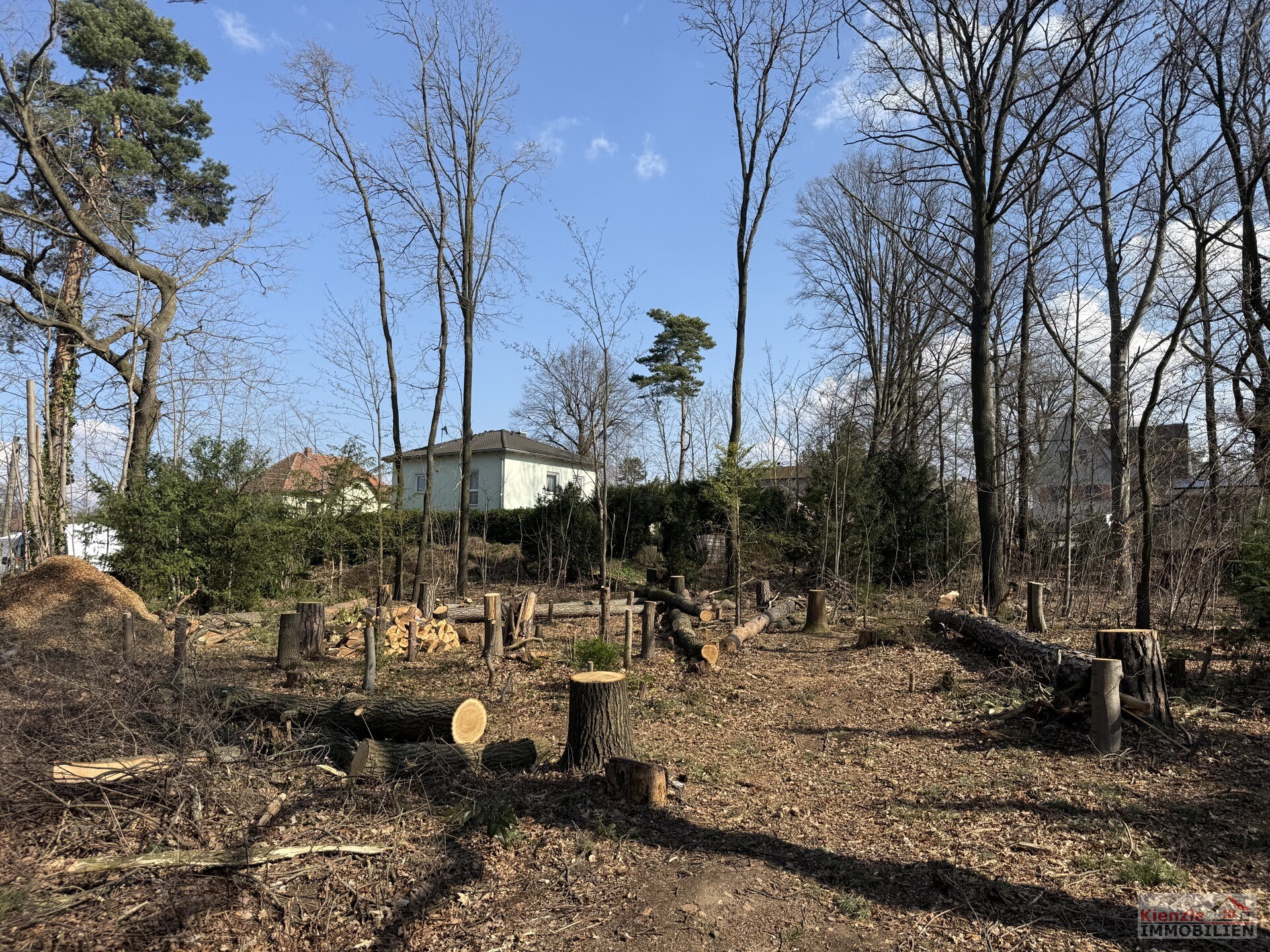 Attraktives Baugrundstück in Moritzburg im OT Friedewald