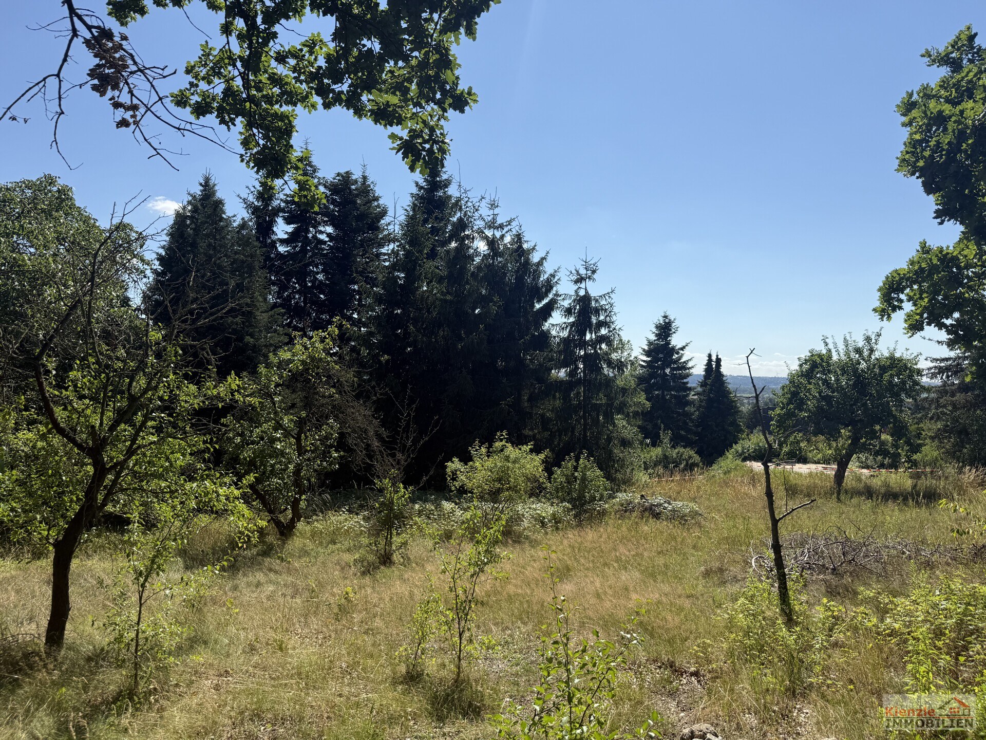Exklusives Baugrundstück in Premium-Südhanglage – Wohnen mit unverbaubarem Panoramablick in Elbtal