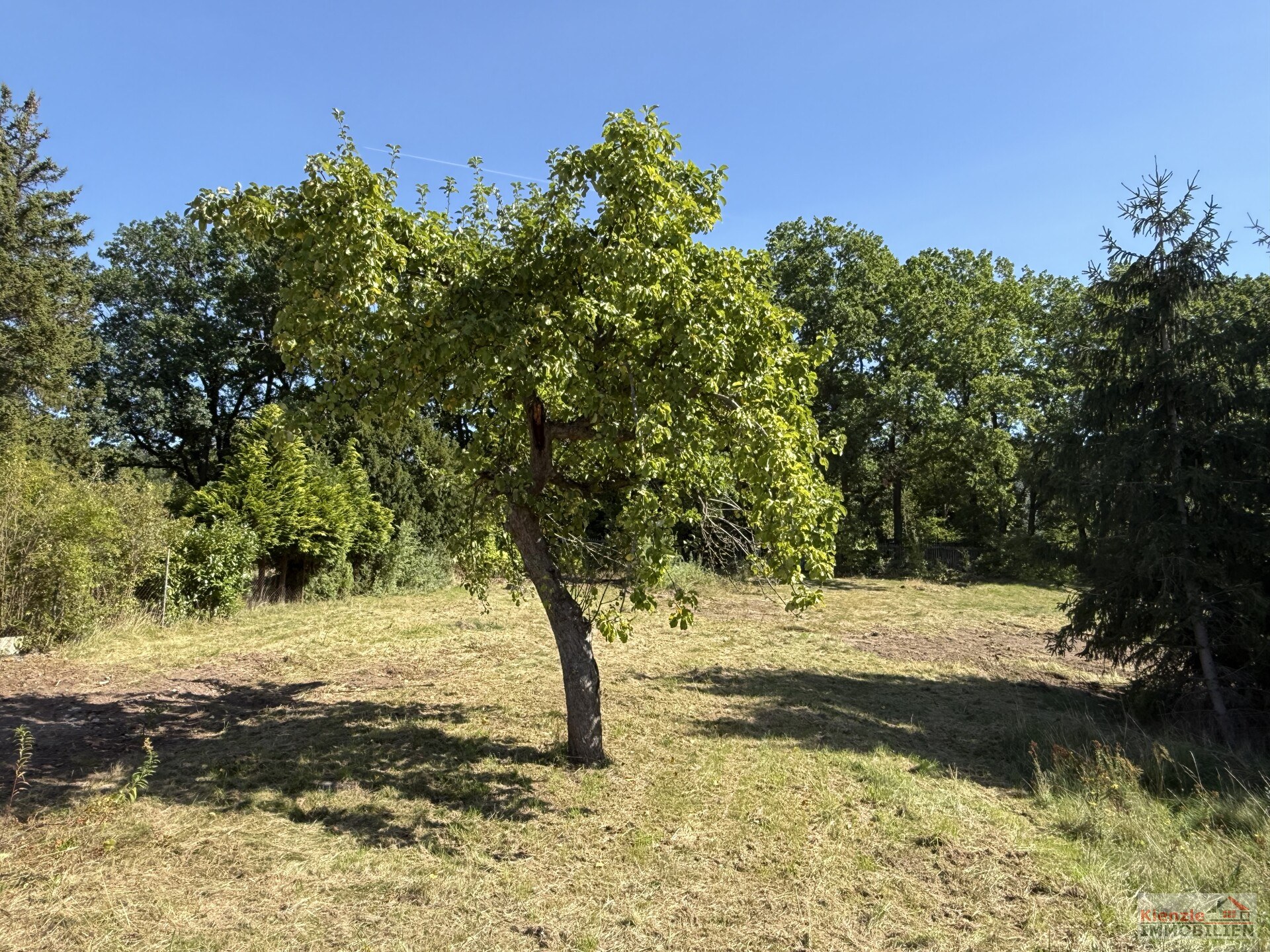 Exklusives Baugrundstück in Premium-Südhanglage – Wohnen mit unverbaubarem Panoramablick in Elbtal