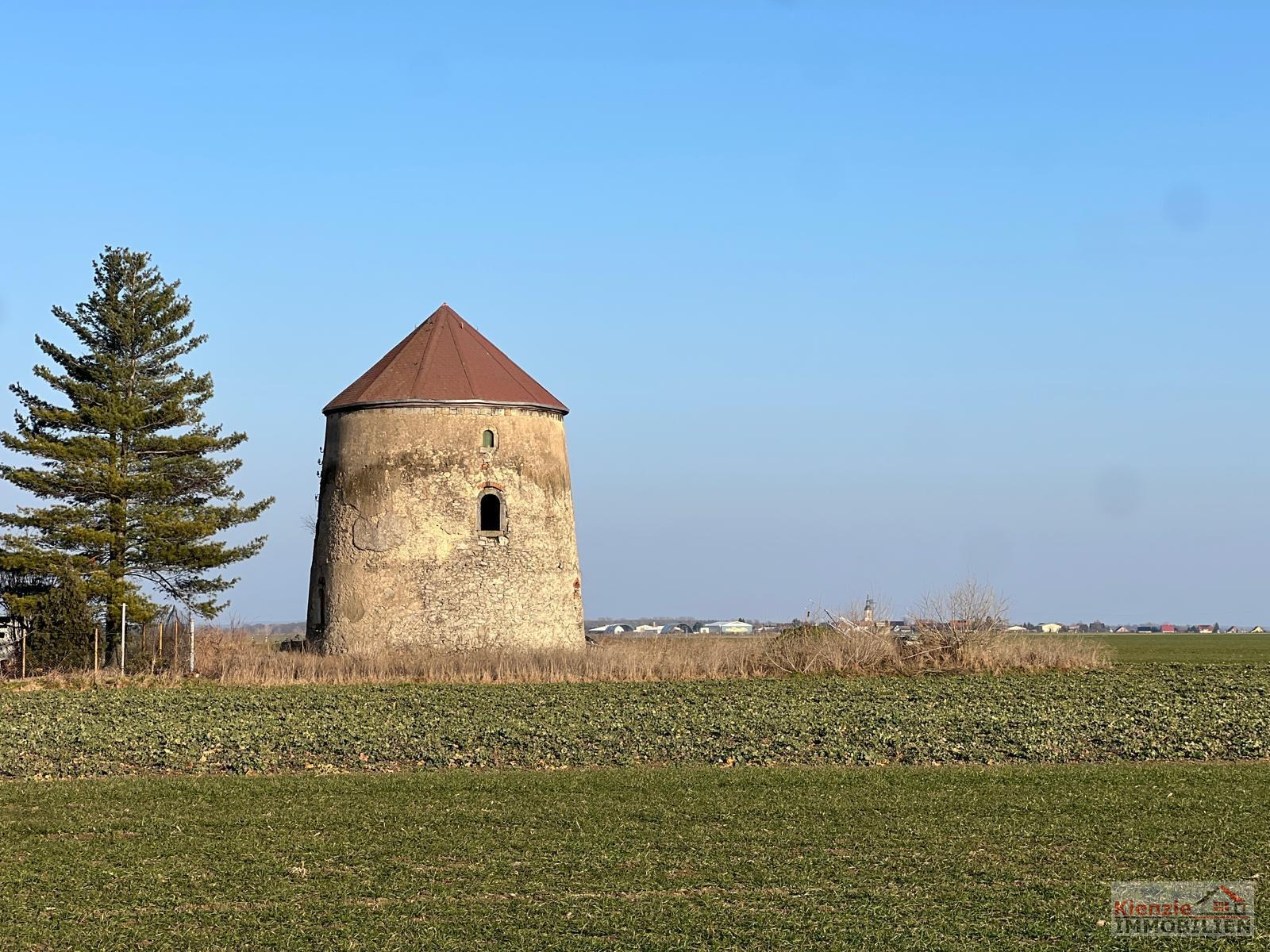 Historische & denkmalgeschütze ehemalige Windmühle - Einfamilienhaus-Windmühle bei Großenhain