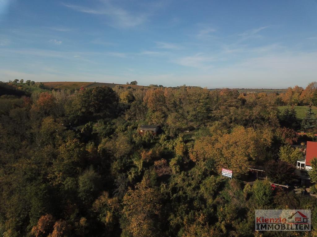** NEUES ANGEBOT ** SALE ** Phantastische ruhige Höhenlage mit Blick auf den Meißner Dom