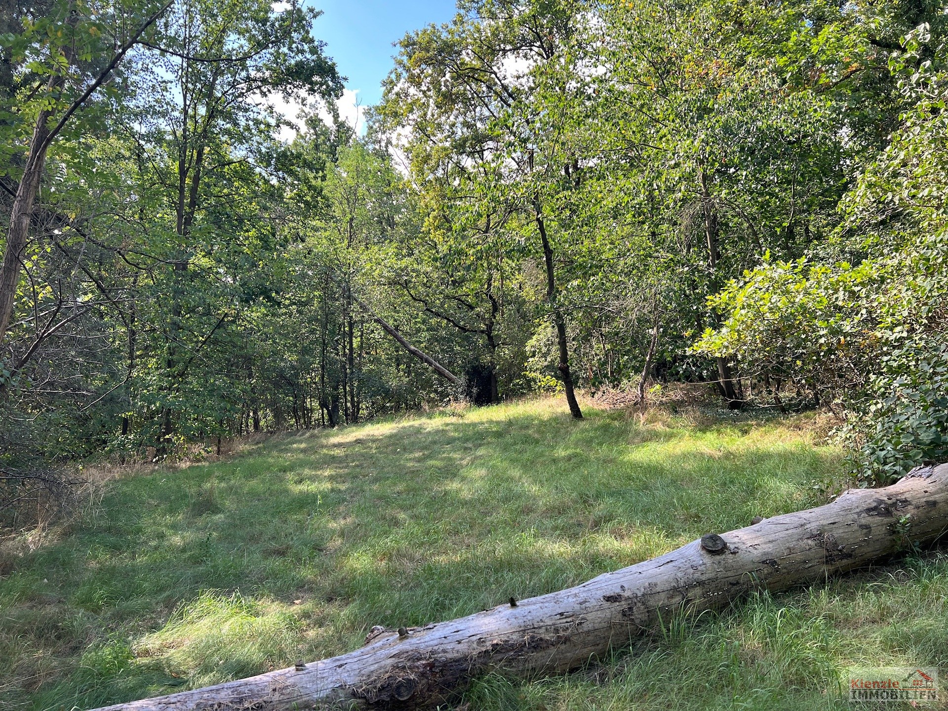 PROVISIONSFREI Idyllisches Wald- und Wiesengrundstück in Medingen bei Dresden - ideal für Handwerker