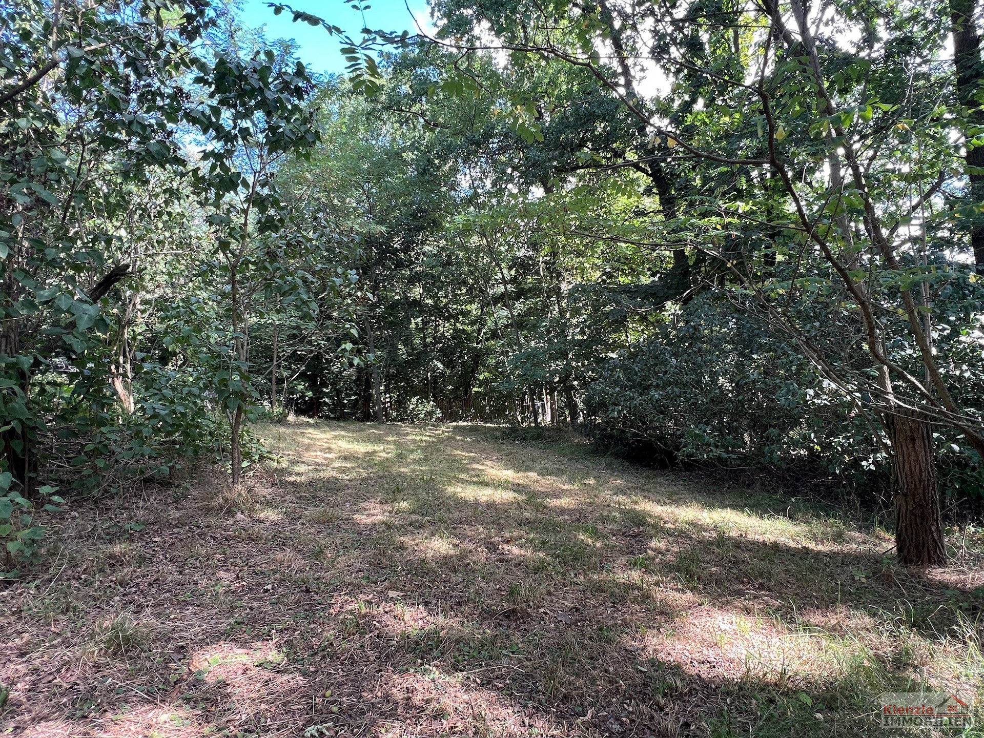 PROVISIONSFREI Idyllisches Wald- und Wiesengrundstück in Medingen bei Dresden - ideal für Handwerker