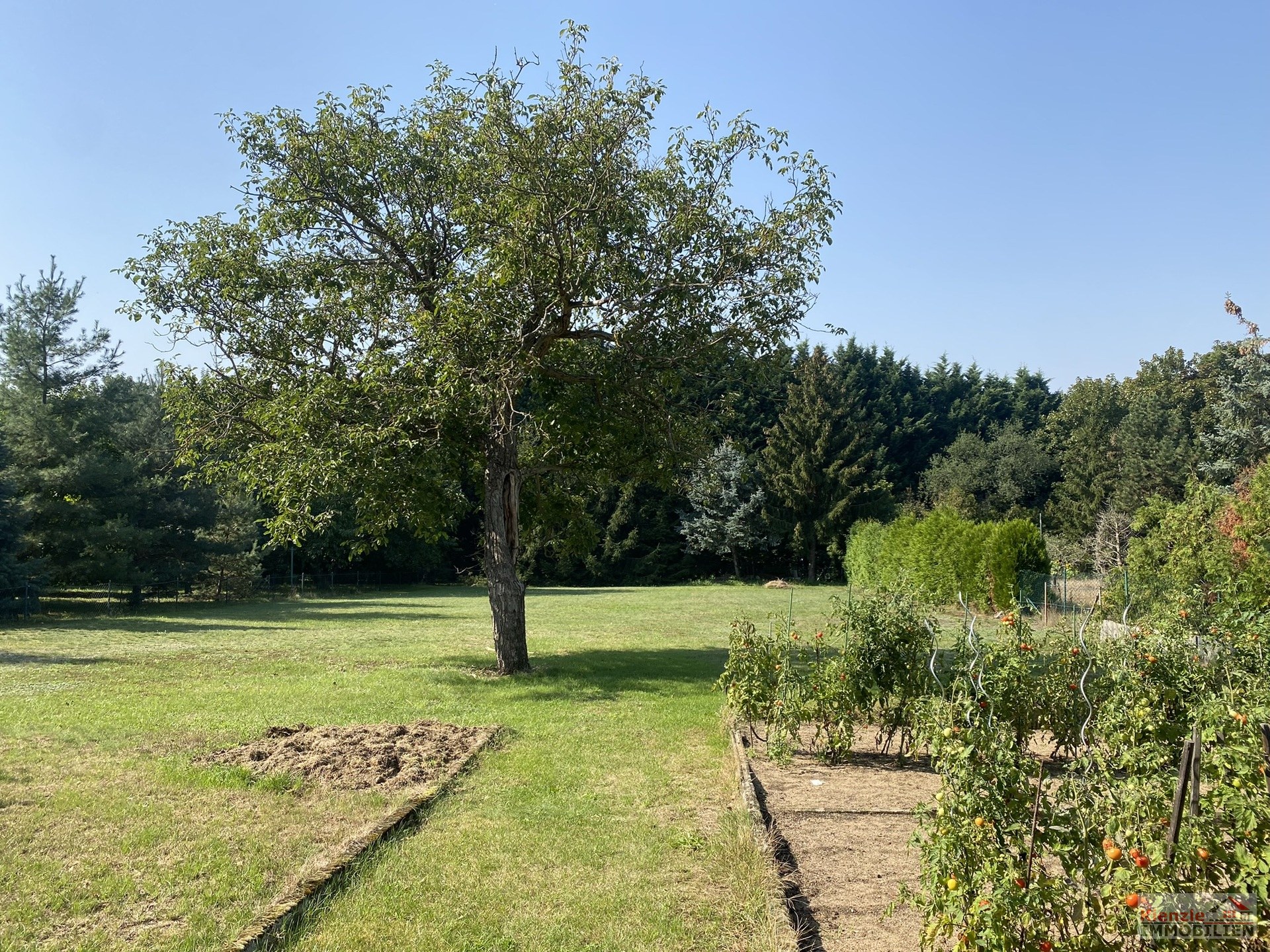 Großzügiges Wohnhaus mit Entwicklungspotenzial auf ca. 2.420 m² Grundstück in Weinböhla