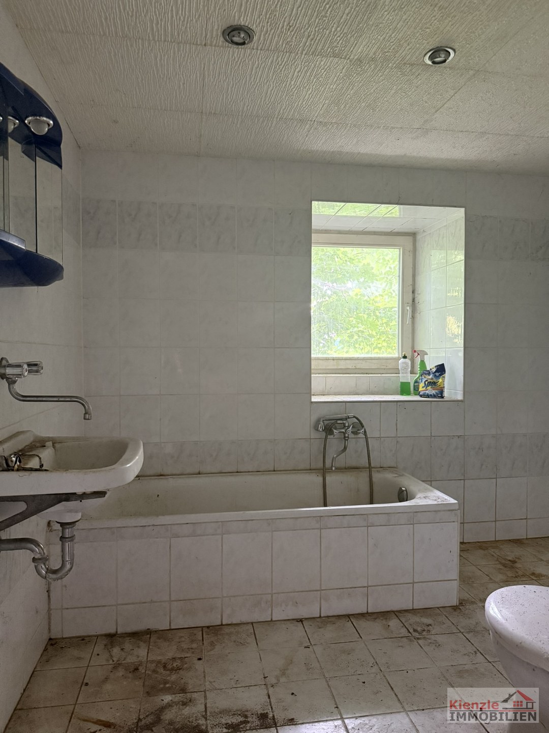 Sanierungsbedürftiges Fachwerkhaus mit Potenzial in traumhafter Dorfrandlage von Großschweidnitz