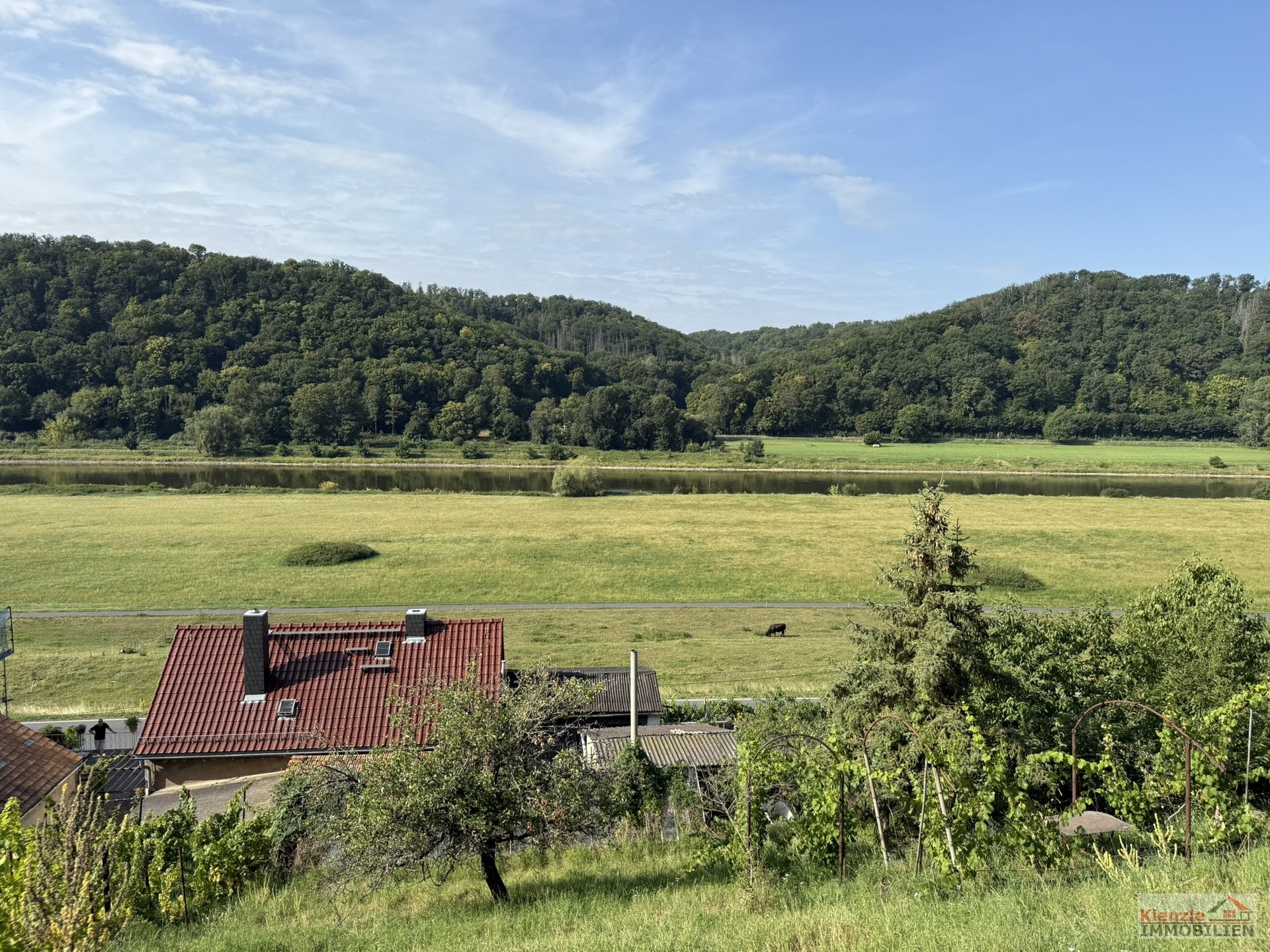 Großzügiges Hanggrundstück mit Altbestand und herrlichem Elbe Blick