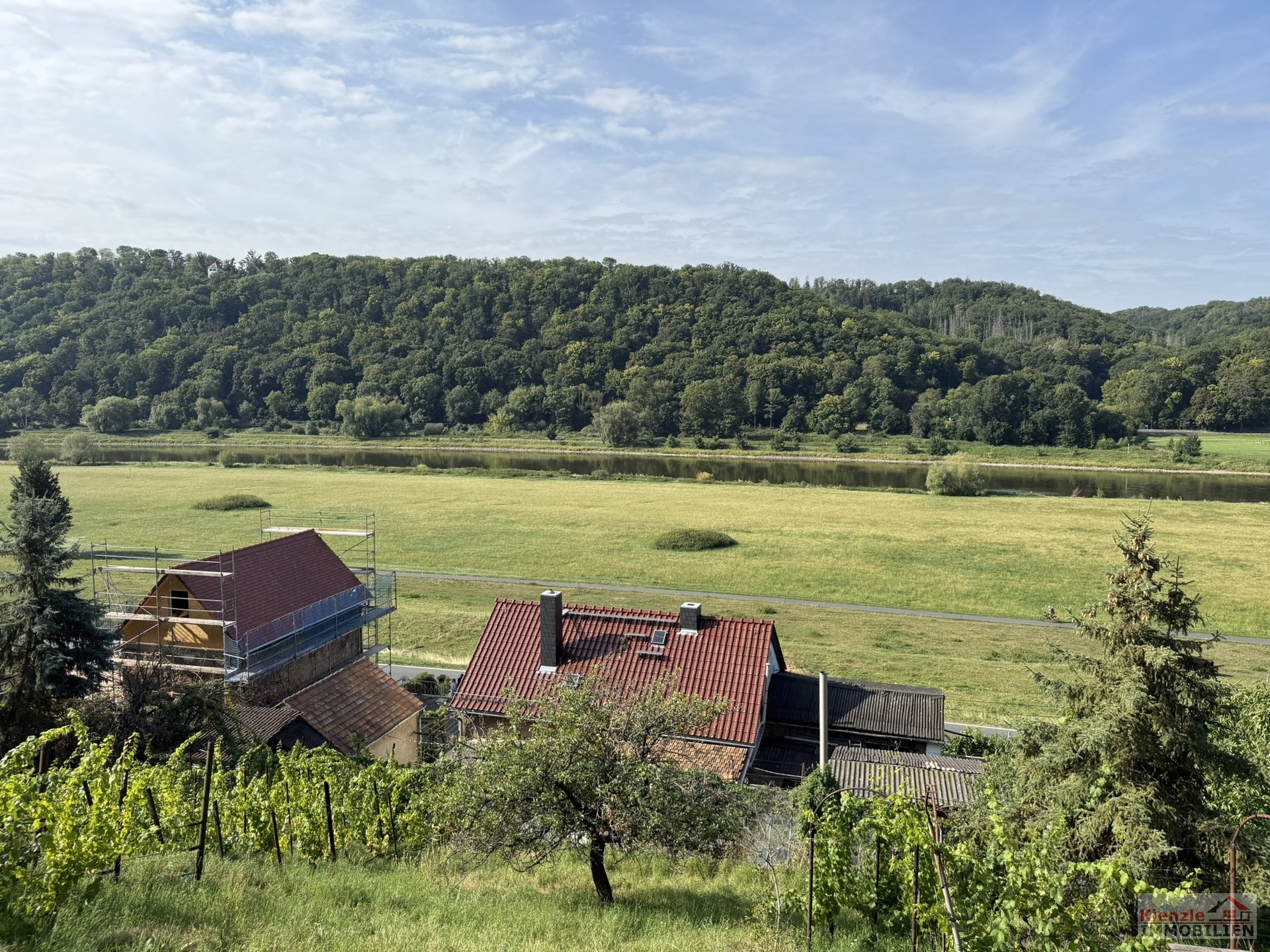 Großzügiges Hanggrundstück mit Altbestand und herrlichem Elbe Blick