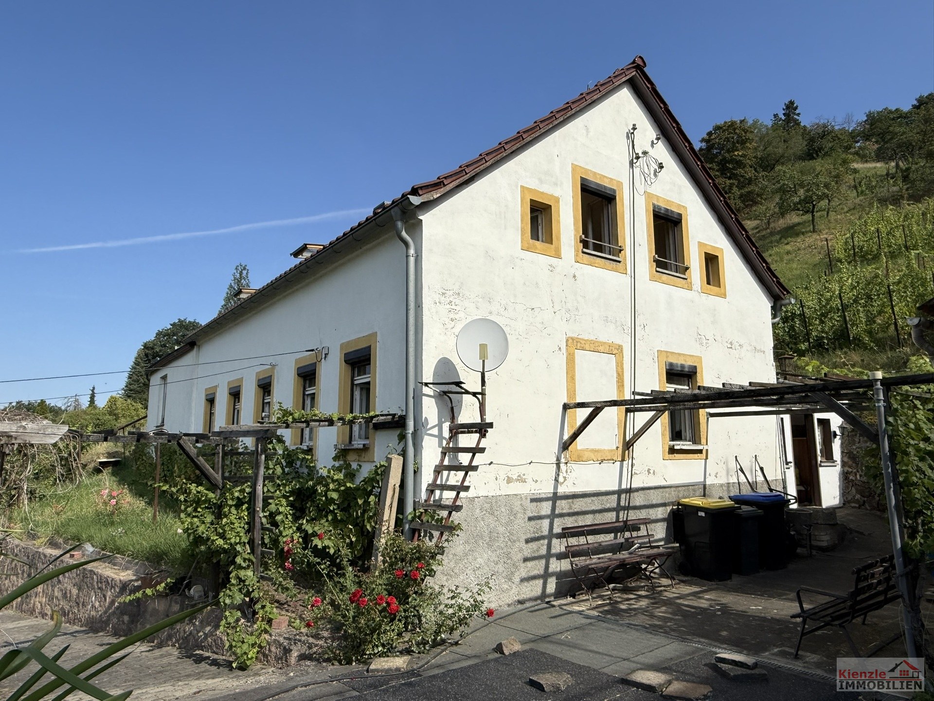 Großzügiges Hanggrundstück mit Altbestand und herrlichem Elbe Blick