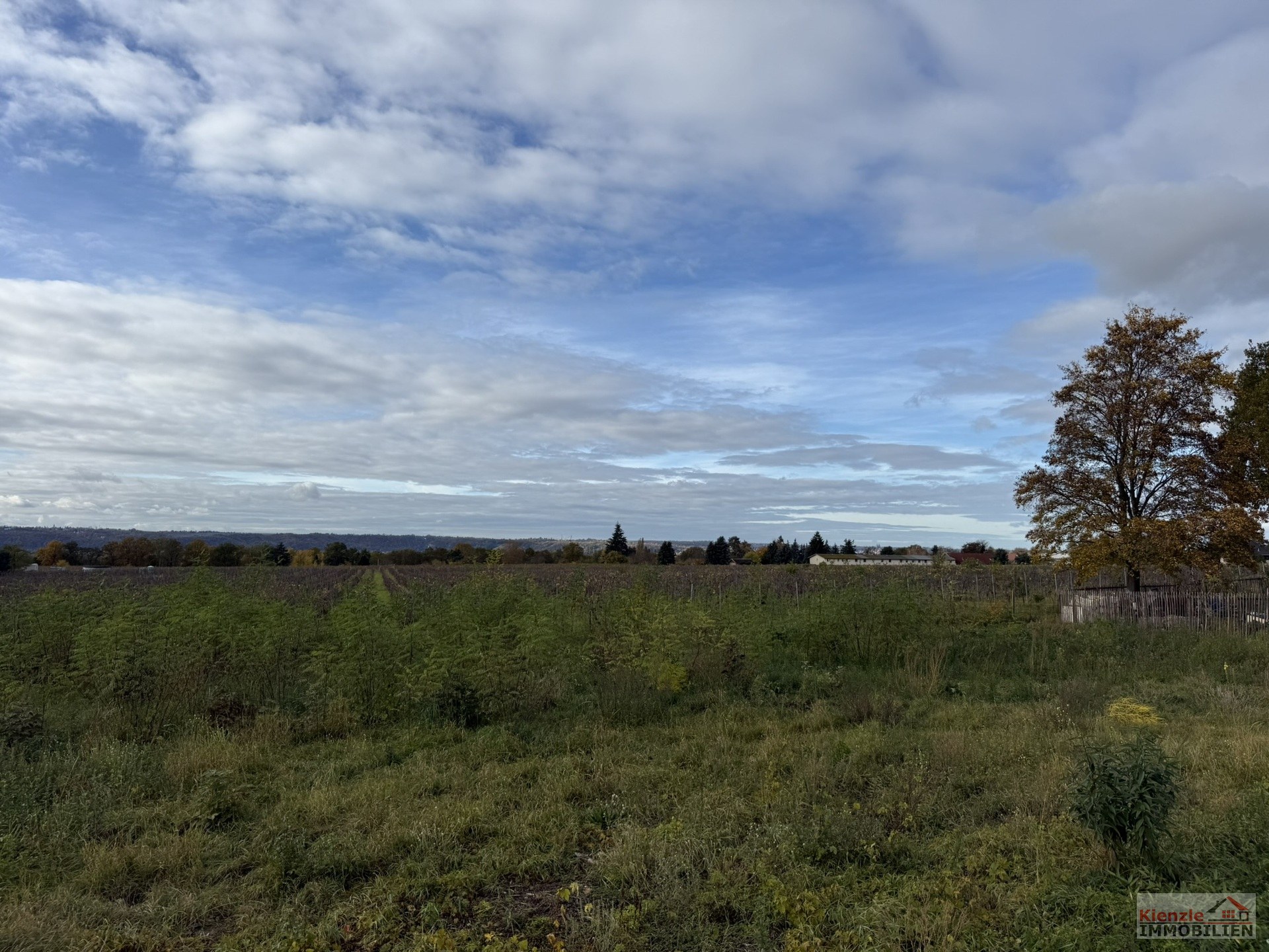 Bauträgergebundes Baugrundstück in Weinböhla ++ Ruhige Höhenlage – gemächlich an den Weinbergen