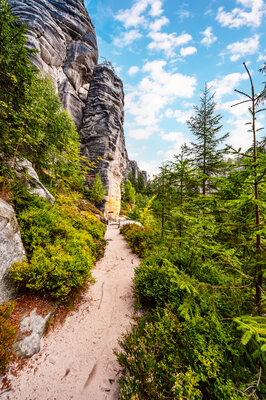 Immobilienmakler Bad Schandau – Kienzle IMMOBILIEN